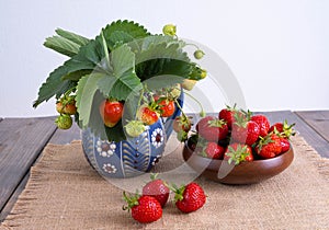 Twigs with strawberries in a ceramic vase and in a wooden bowl strawberries, a few strawberries lie side by side