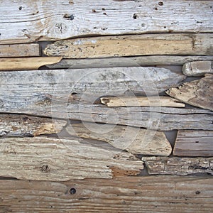 Twigs and wood pieces polished by the sea