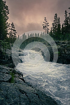 Twilight Above the Rapids in Nordic Nature Forest in Dalarna Sweden