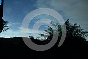 Twilight blue sky with clouds and Palm tree