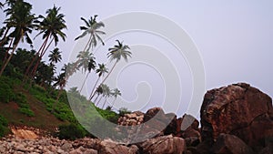 Twilight descends on a rocky shoreline flanked by lush palm trees. Waves gently brush against boulders as tropical