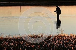 Twilight fishing