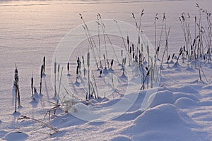 Twilight Frost - Setting sun on a Frozen Lake, Embraced by Reeds