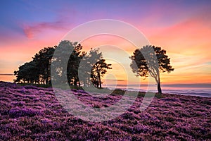 Twilight on Hepburn Moor