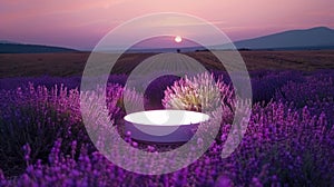 Twilight setting lavender arch over empty product podium, creating captivating scene