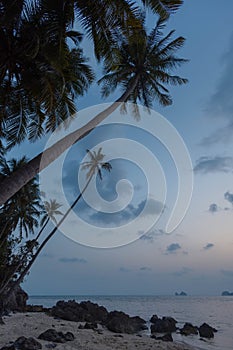 Twilight sky blankets a tropical beach, with palm trees and distant islands silhouetted against the fading light
