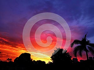 Twilight sky with trees silhouette photo