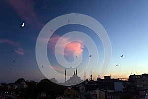 Twilight urban View of historical District of Istanbul City with Sea Gulls