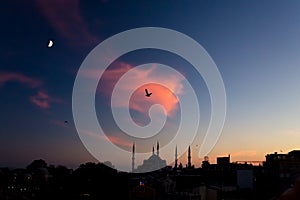 Twilight urban View of historical District of Istanbul City with Sea Gulls