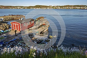Twillingate, Newfoundland