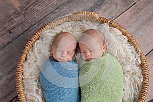 Twin Baby Boys Sleeping in a Basket