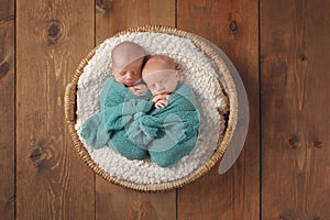 Twin Baby Boys Sleeping in a Basket photo