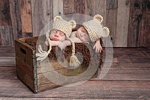 Twin Baby Boys Sleeping in a Wooden Crate