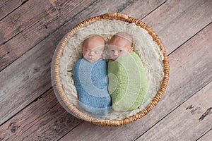 Twin Baby Boys Telling Secrets