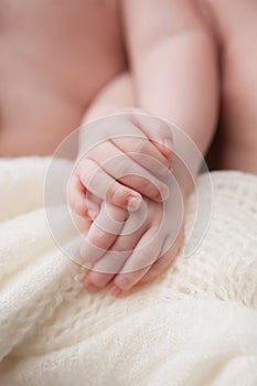 Twin Baby Girls Holding Hands