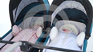 Twin Baby Girls Sleeping in a Stroller Outdoors