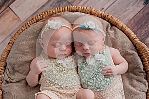 Twin Baby Girls Sleeping in a Wicker Basket