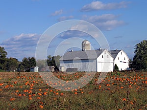 Twin Barns