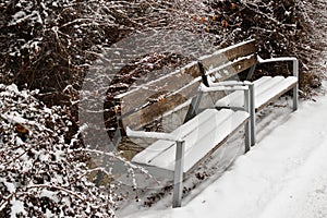 Twin bench covered in snow during winter season on riverside in Piestany, Slovakia