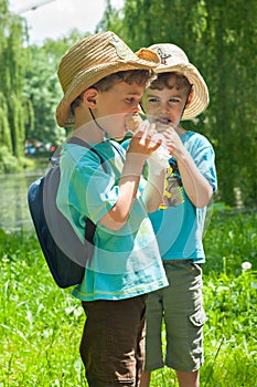 Twin boys ate ice cream