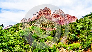 The Twin Brothers and East Temple Mountains viewed from the Pa`rus Trail in Zion National park, Utah