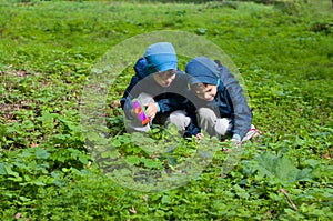 Twin brothers in the meadow