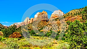 The Twin Brothers mountain and Mountain of the Sun in Zion National Park in Utah, United Sates