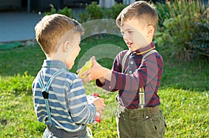 Twin brothers play on the meadow