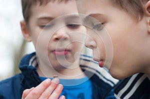 Twin brothers study the ladybug