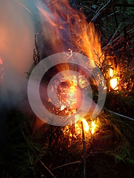 Twin Burst of Flames in a Bonfire