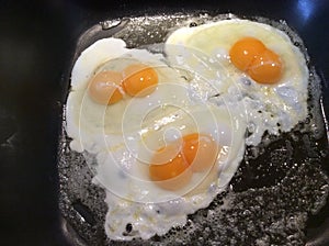 Twin egg