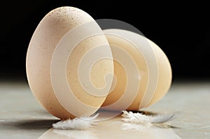 Twin eggs and feather