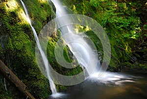 Twin Falls at Olympic National Park photo
