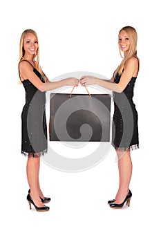 Twin girls holding bag