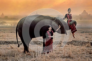 Twin girls In the Kuay tribe costume Playing with elephants in the morning in Surin, Thailand