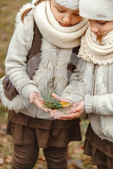 Twin girls show the leaves of different plants they collected in the autumn park