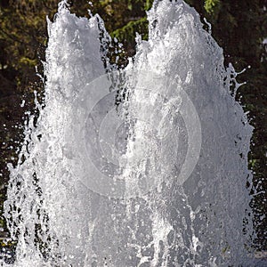Twin jets of water surging upwards in a fountain