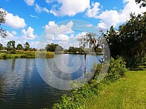 Twin Lakes Park in Sarasota Florida under a bright sunny blue sky with white fluffy clouds a lake and trees