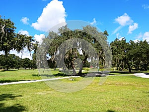 Twin Lakes Park in Sarasota Florida under a bright sunny blue sky with white fluffy clouds a lake and trees