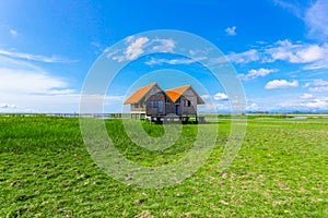 Twin old house on wetland at Talay Noi lake at Phatthalung, Thailand