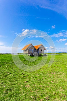 Twin old house on wetland at Talay Noi lake at Phatthalung, Thailand