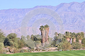 Twin Palms At Desert Willow Country Club