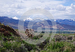 Twin Peaks, Challis, Idaho