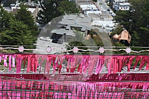 Twin Peaks Pink Triangle  3