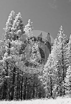 Twin Peaks from valley in YOSEMITE NATIONAL PARK, California.