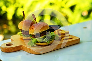 Twin pork hamburgers with French fries on wood cutting board