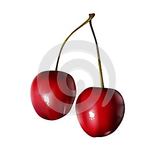 Twin red cherries - vector art