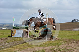 Twin Rivers Ranch Cross Country Eventing Jumping Horse