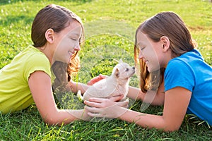 Twin sister kid girls and puppy dog lying in lawn