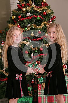 Twin sisters sharing a present vertical